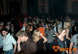 Bild 19