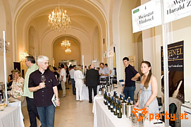 Bild 14