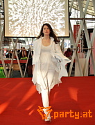 Bild 36