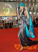 Bild 64