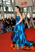 Bild 81