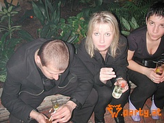 Bild 38