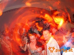 Bild 81