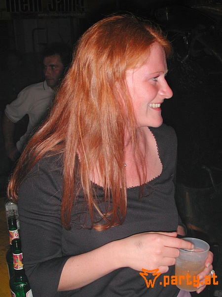 Bild 384