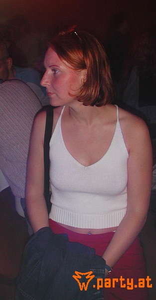 Bild 41