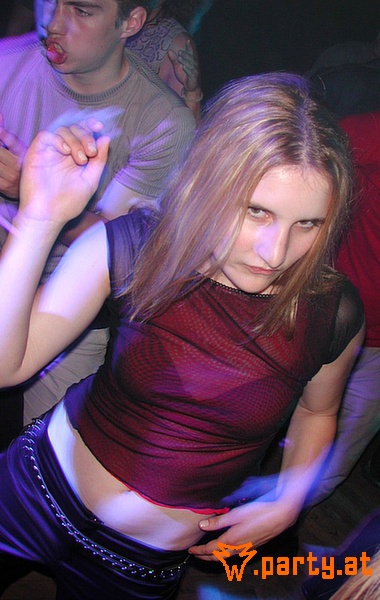 Bild 95