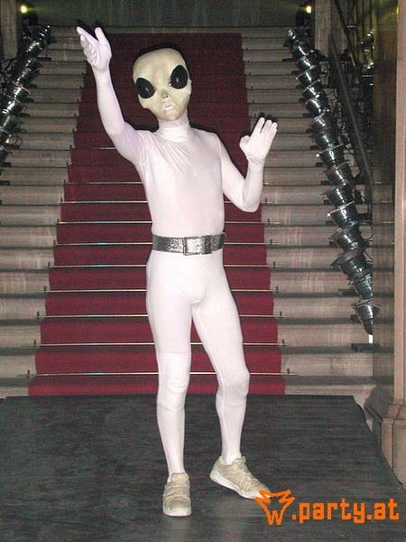 Bild 33