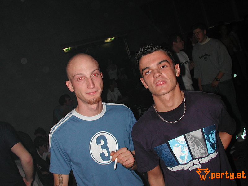Bild 194