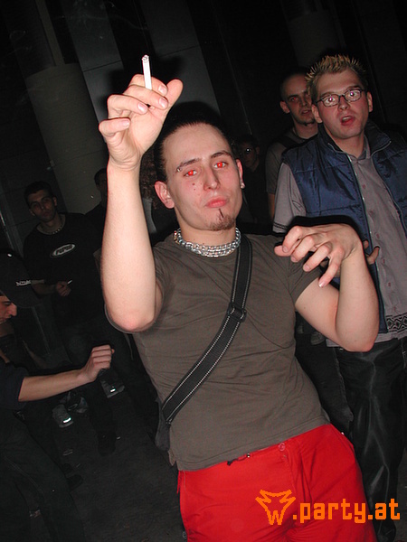 Bild 233