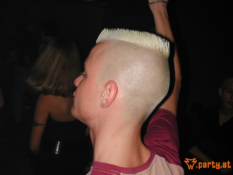 Bild 245