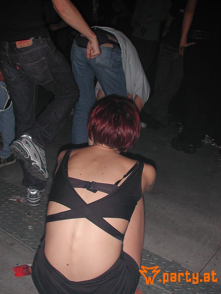 Bild 247