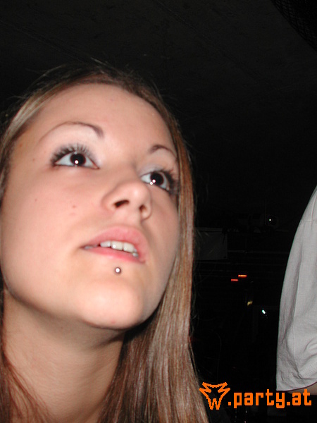 Bild 282