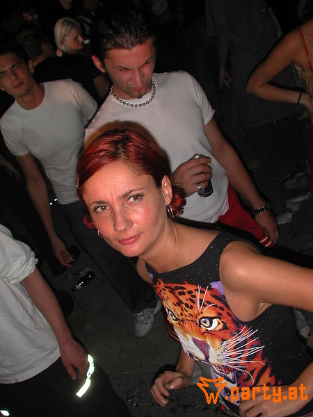 Bild 295
