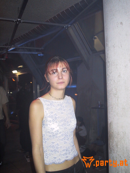 Bild 419