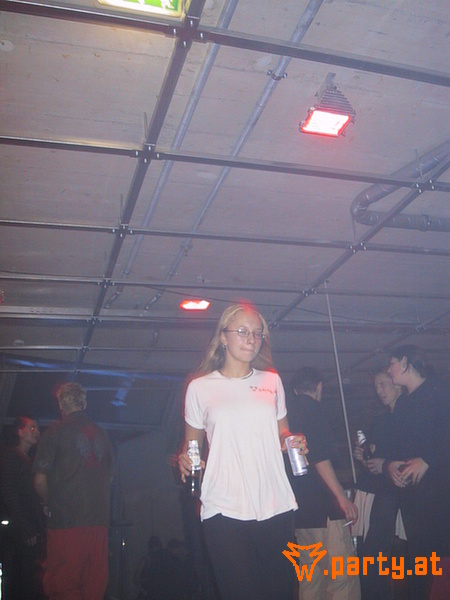 Bild 493