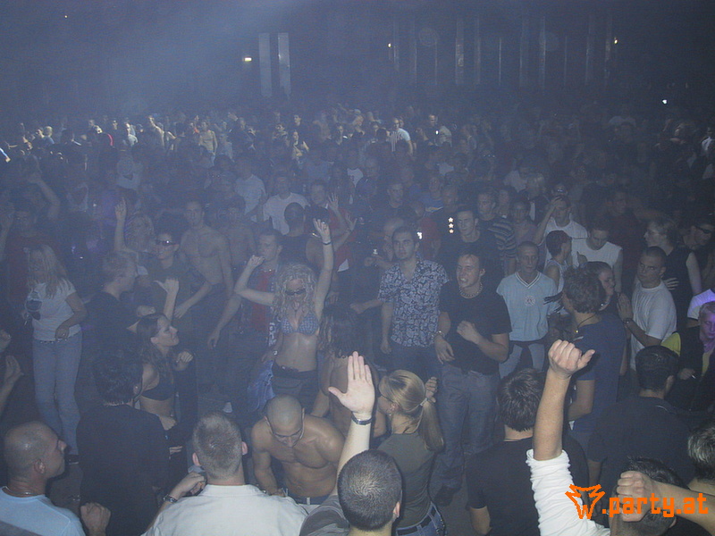 Bild 528