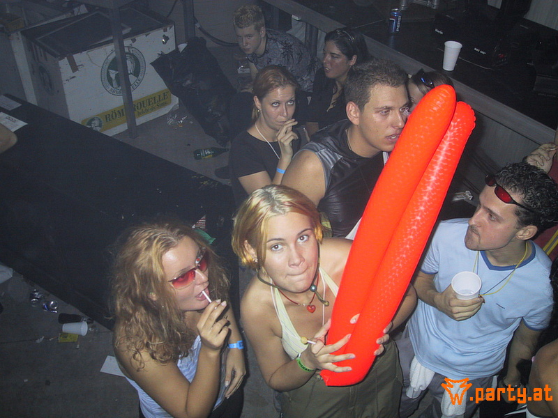 Bild 542