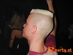 Bild 245