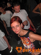 Bild 295
