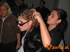 Bild 337