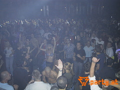 Bild 528