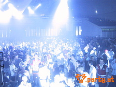 Bild 534
