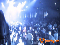 Bild 535