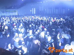 Bild 537