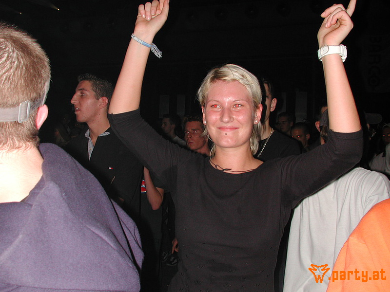 Bild 242