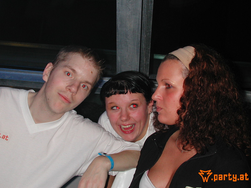 Bild 266