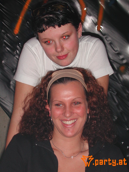 Bild 287