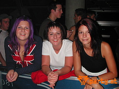 Bild 163