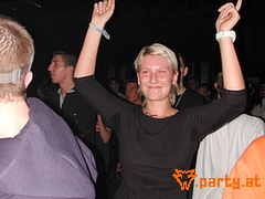 Bild 242