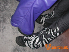 Bild 297