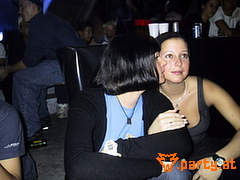 Bild 334
