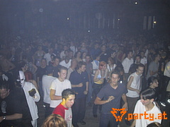 Bild 455