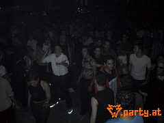 Bild 575