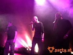 Bild 44