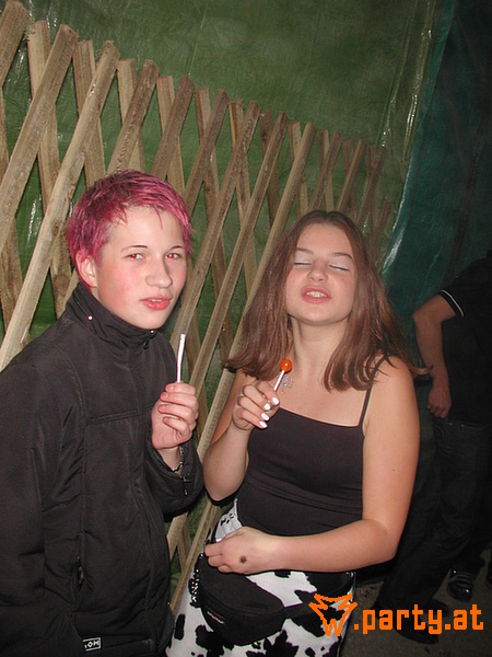 Bild 281