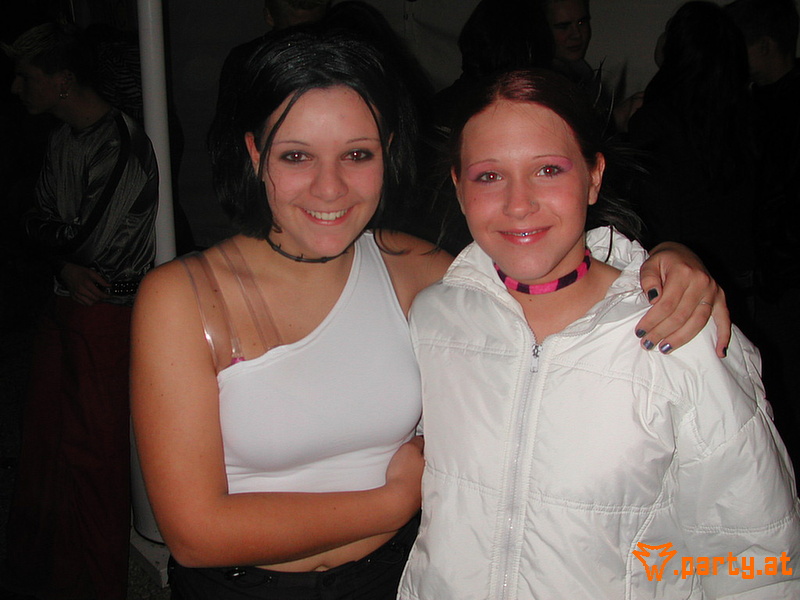 Bild 287