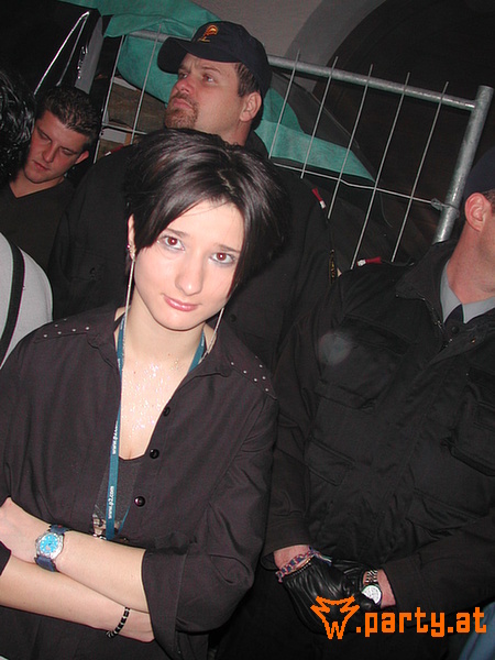 Bild 375
