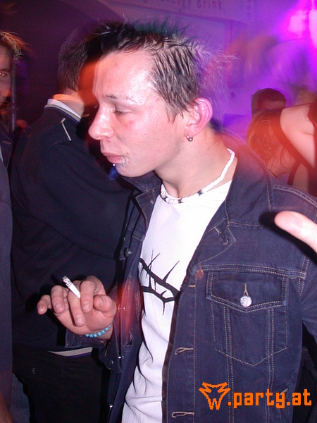 Bild 41