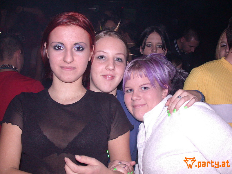 Bild 195