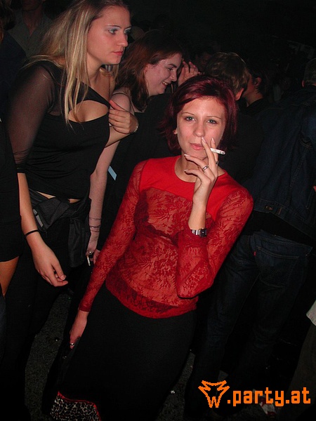 Bild 208