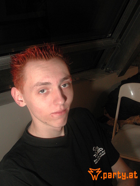 Bild 15