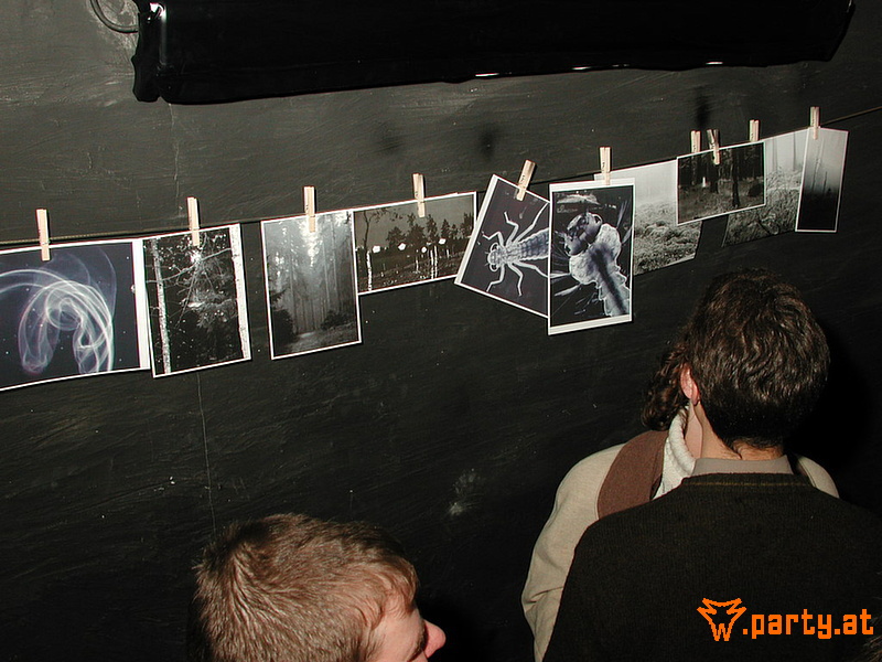 Bild 124