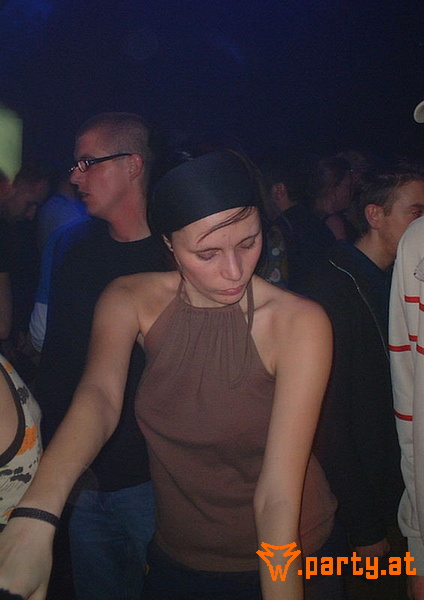Bild 41