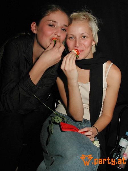 Bild 295