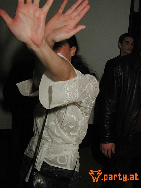 Bild 516