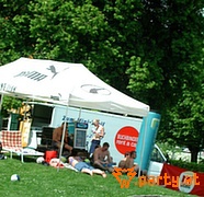 Bild 46